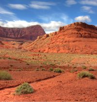 desert